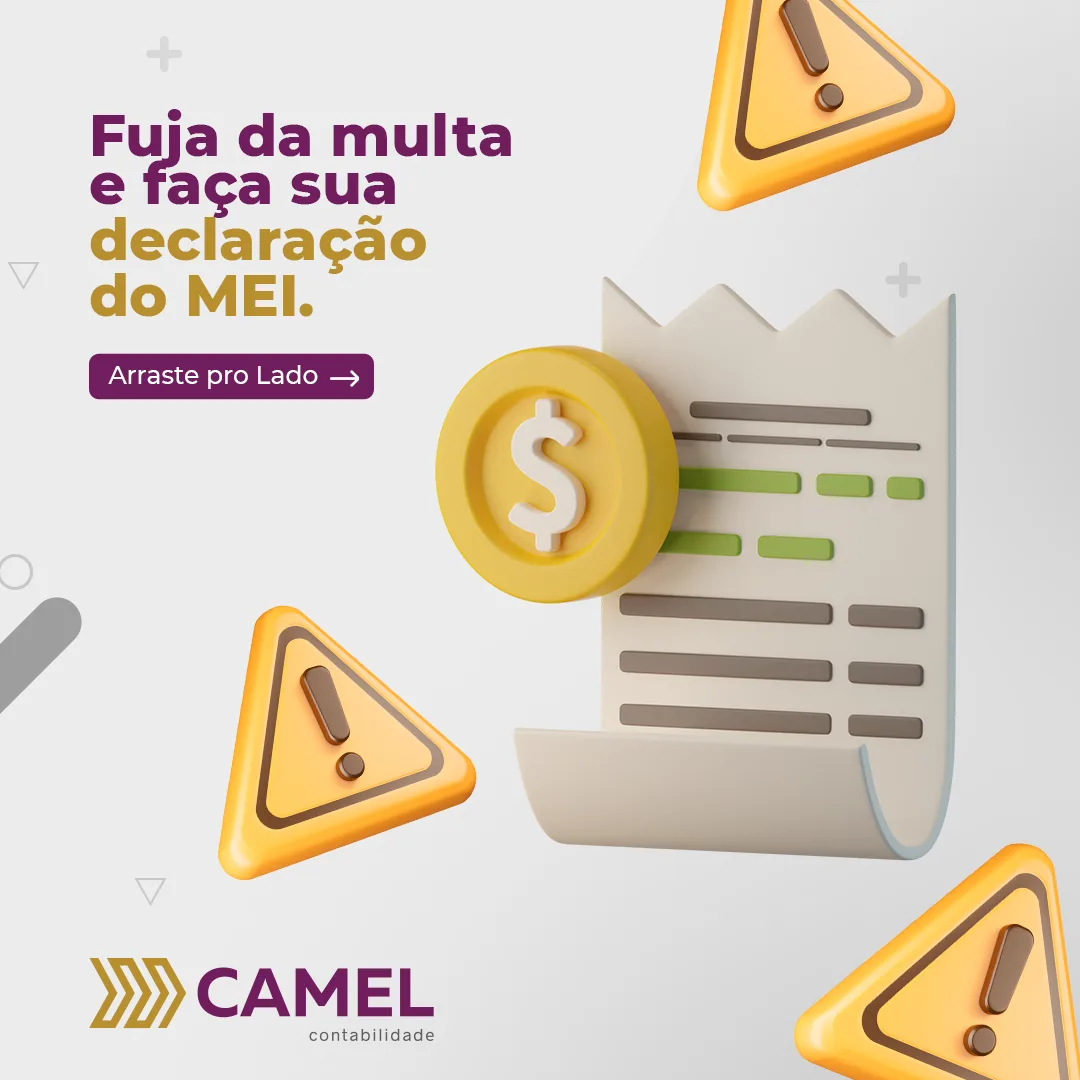 Case Camel Contabilidade